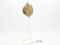 Italian Brass Rhubarb Floor Lamp by Tommaso Barbi for Carlo Giorgi, 1970s 3