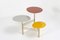 Table d'Appoint Colored Pebble par Nada Debs 2