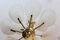 Lámpara de araña francesa de latón y cristal de Murano, años 70, Imagen 4