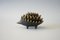 Brass Mid-Century Hedgehog Ashtray by Walter Bosse for Hertha Baller, 1950s 2