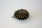 Brass Mid-Century Hedgehog Ashtray by Walter Bosse for Hertha Baller, 1950s 6