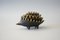 Brass Mid-Century Hedgehog Ashtray by Walter Bosse for Hertha Baller, 1950s 7