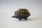 Cendrier Hedgehog en Laiton Mid-Century par Walter Bosse pour Hertha Baller, 1950s 7