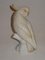 Cockatoo Sculpture by Theodor Kärner for Rosenthal, 1923, Image 4