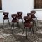 Vintage Bentwood & Iron Dining Chairs by Adam Stegner for Pagholz Flötotto, 1950s, Set of 6, Image 20