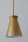Lámpara colgante Diabolo alemana Mid-Century Modern de Hillebrand, años 50, Imagen 8
