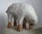 Sheep Stool and Footstool by Hanns Peter Krafft for Meier, 1960s, Set of 2, Image 5