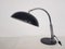 Model 144 Desk Lamp by H. Th. J. A. Busquet for Hala, 1950s 1