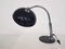 Model 144 Desk Lamp by H. Th. J. A. Busquet for Hala, 1950s 4