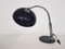 Model 144 Desk Lamp by H. Th. J. A. Busquet for Hala, 1950s, Image 4