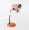 Mid-Century Coral Table Lamp, 1960s, Image 1