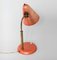 Mid-Century Coral Table Lamp, 1960s, Image 2