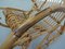 Italienischer Mid-Century Schaukelstuhl aus Bambus, 1950er 8