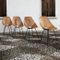 Curved Medea Ash Dining Chairs by Vittorio Nobili for Fratelli Tagliabue, 1955, Set of 4 7