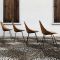 Curved Medea Ash Dining Chairs by Vittorio Nobili for Fratelli Tagliabue, 1955, Set of 4 4
