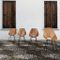 Curved Medea Ash Dining Chairs by Vittorio Nobili for Fratelli Tagliabue, 1955, Set of 4 3