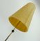 Vintage Fiberglass & Brass Floor Lamp, 1950s, Image 8