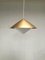 Pendant Lamp by Svea Winkler, 1960s 4