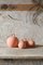 Small Salvadané Piggy-Bank in Clay by Domenico Orefice for Man de Milan, Image 1