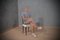 Italienische Mid-Century Stühle, 1950er, 4er Set 7