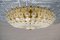 Large Mid-Century Modern Floral Glass Wall and Ceiling Lamp, 1960s 1