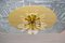 Large Mid-Century Modern Floral Glass Wall and Ceiling Lamp, 1960s 6