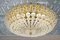 Large Mid-Century Modern Floral Glass Wall and Ceiling Lamp, 1960s 2