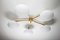 Brass & Opaline Glass Stella Daisy Chrome Lucid Ceiling or Wall Lamp from Design for Macha, Image 4