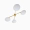 Brass & Opaline Glass Stella Butterfly Chrome Lucid Ceiling or Wall Lamp from Design for Macha 1