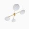 Brass & Opaline Glass Stella Butterfly Chrome Lucid Ceiling or Wall Lamp from Design for Macha, Image 1