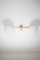 Stella Toi & Moi Chrom Lucid Decken- oder Wandlampe aus Messing & Opalglas von Design for Macha 3