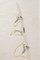 Lámpara de pie Elle 3 de Eldo Jordan para Biancardi & Jordan, años 70, Imagen 4