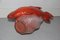 Mid-Century Ceramic Red Fish, 1950s 7