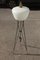 Mid-Century Modern Italian White Glass & Brass Floor Lamp from Stilnovo, 1950s 11