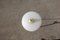 Mid-Century Modern Italian White Glass & Brass Floor Lamp from Stilnovo, 1950s 14