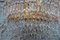 Lampade da parete vintage in cristallo Swarovski placcate in oro, anni '70, set di 6, Immagine 4