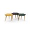 Low Green Tabuli Table by Vincenzo Castellana for DESINE 1