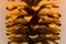 Pinecone Tischlampe von Maison Charles, 1970er 6