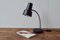 Modernist Black Desk Lamp, 1960s 1