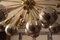 Lámpara de araña Sputnik de cristal de Murano, años 70, Imagen 16