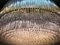 Lampadario grande in vetro di Murano, anni '60, Immagine 3