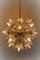 Mid-Century Murano Glass and Brass Sputnik Chandelier 8