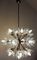 Lámpara de araña Sputnik Mid-Century de cristal de Murano y latón, Imagen 3