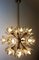 Lámpara de araña Sputnik Mid-Century de cristal de Murano y latón, Imagen 4