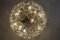 Floral Sputnik Glass Chandelier, 1960s 4