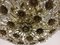 Gilt Brass & Crystal Flower Chandelier from Palwa, 1960s 8
