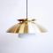 Frosted Glass and Golden Metal Pendant Lamp, 1960s 1