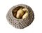 Small Natural A Gros Legumes Bowl by BEST BEFORE 3