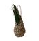 Natural Cocon Wall Basket by BEST BEFORE 2