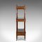 Antique Mahogany Display Stand, 1860s 3